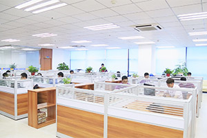 �ʲ���Ƥ���ز�����