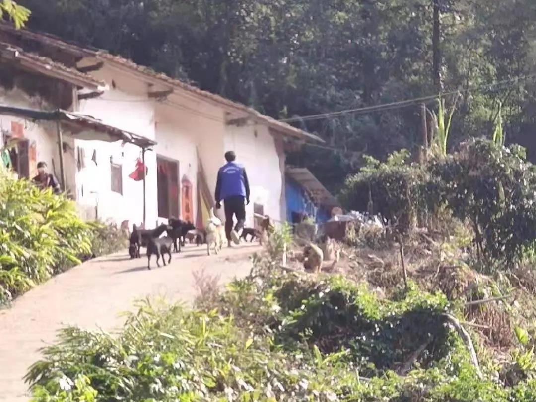 ��������һ����Ŀ��ʵح�޻��ഺ�����������Ƿܶ�������