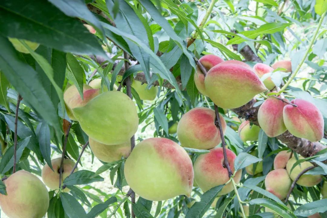 ��ũ�������Դӥ�������óԡ��ҡ�������