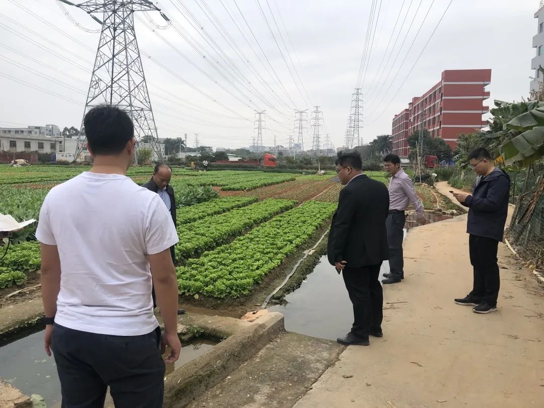 ��������������CA88һ����������