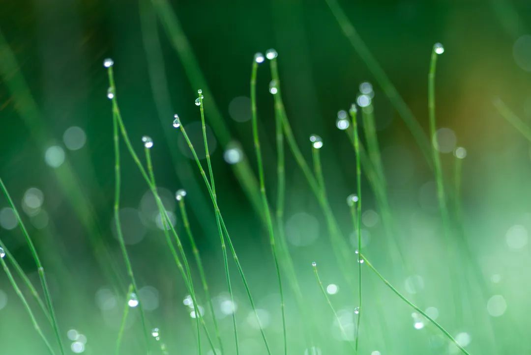 Ա�����ح��������