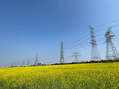 CA88�滮ح���ӵ��޶�ݸ��ָ�������ʢ��ӭ������