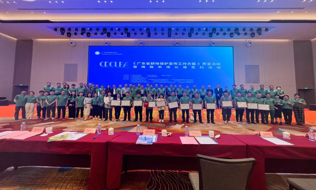 CA88�滮ح�ϱ��������μӸ��ر�����