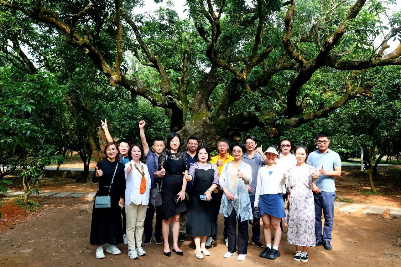 CA88������Ϊʡ��ɽ�ռ���̬����Э����ֵ�᳤���ӵ�������ȫ���Ƥ�ۺ����ι���