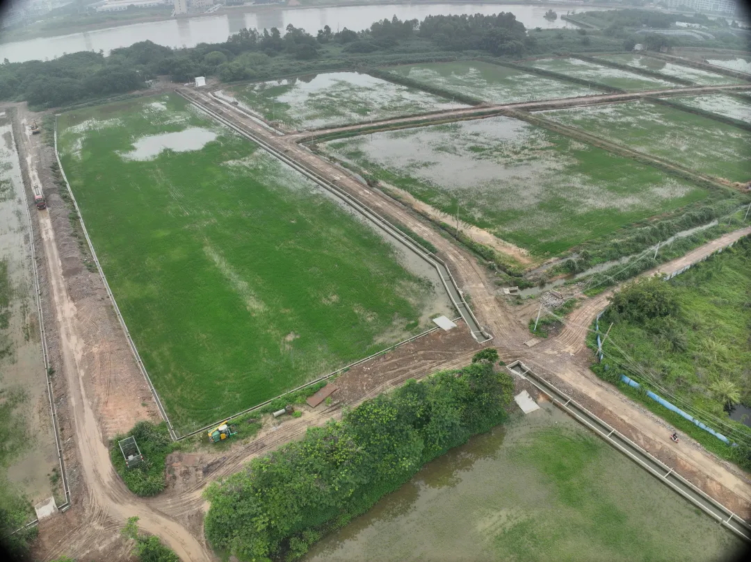 CA88����ح����·���̻ĵ��������԰��ͼ��