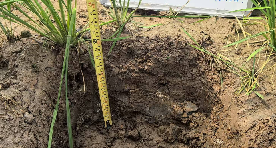 ����ũҵ�����к�����������˾�׼ҽ��и����������ա������塱���