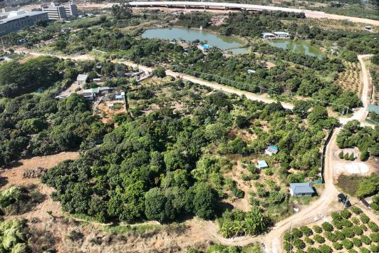 ���߽��+ʵս�������㶫��ũ�������������CA88������ƾָ��ر���