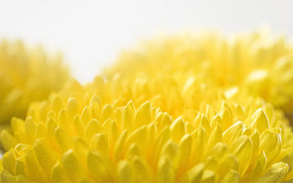 1617854268411325 a1.jpg