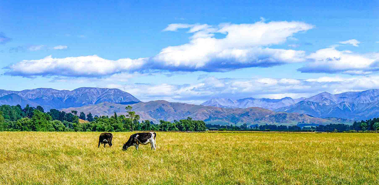 1622253547335707 Ç×Å©É̳Ç