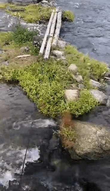 1626078617191575 1626078617191575