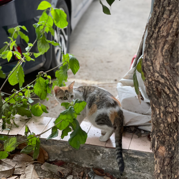 1629429058385522 ΢ÐÅͼƬ_20210820111044.png