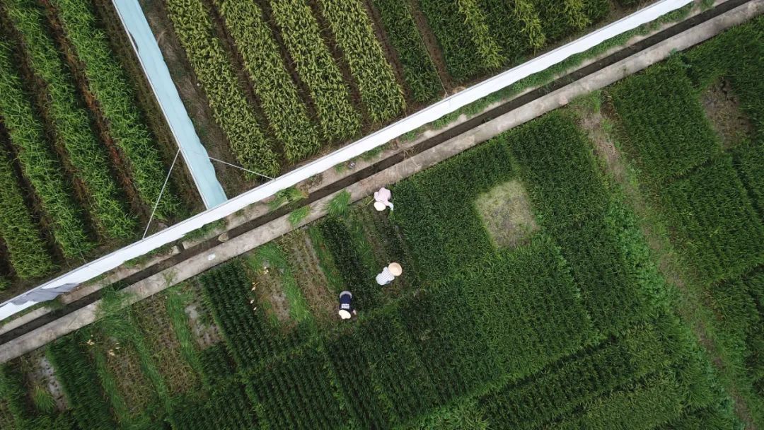 1648709245483166 1.jpg