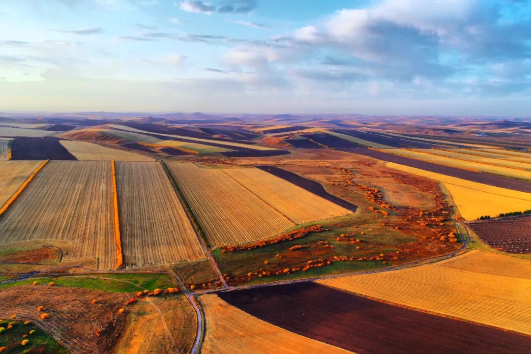 1648709389113244 3.jpg