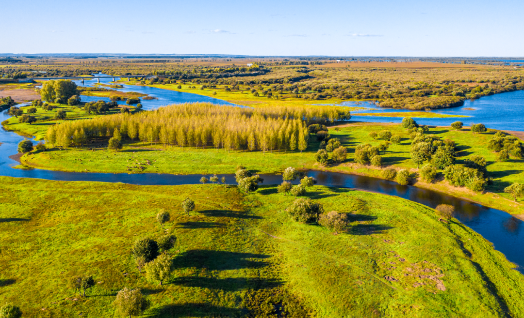 1648709535898041 23.png