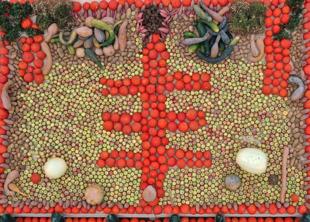 1648709692661808 5.jpg