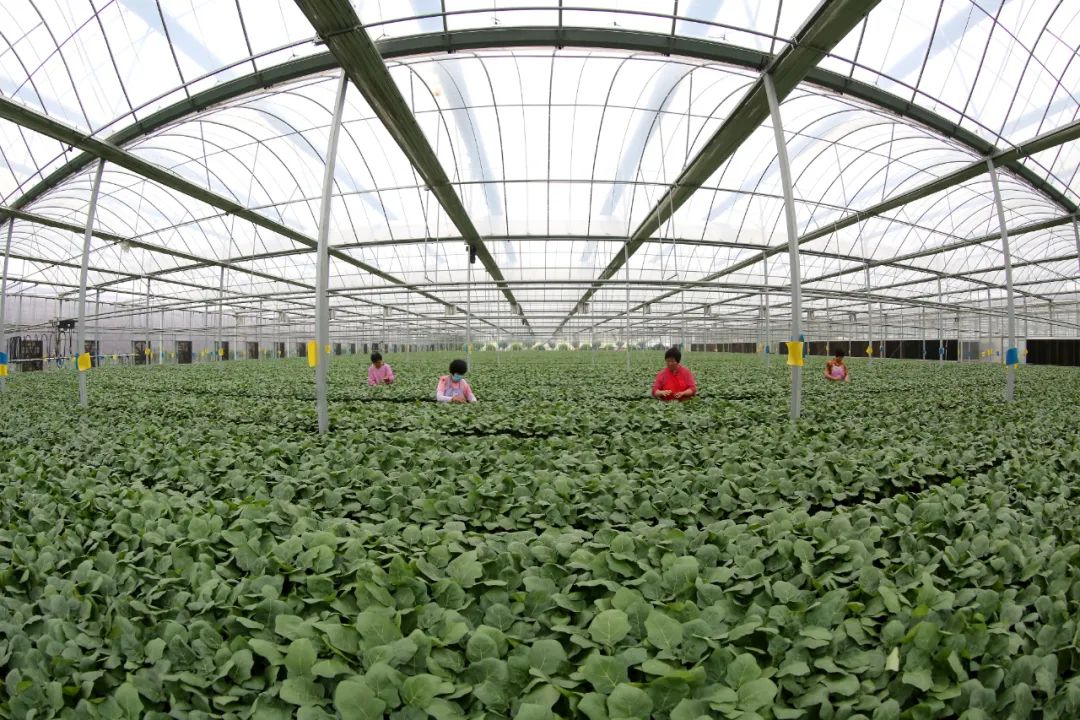 1648709910148135 7.jpg