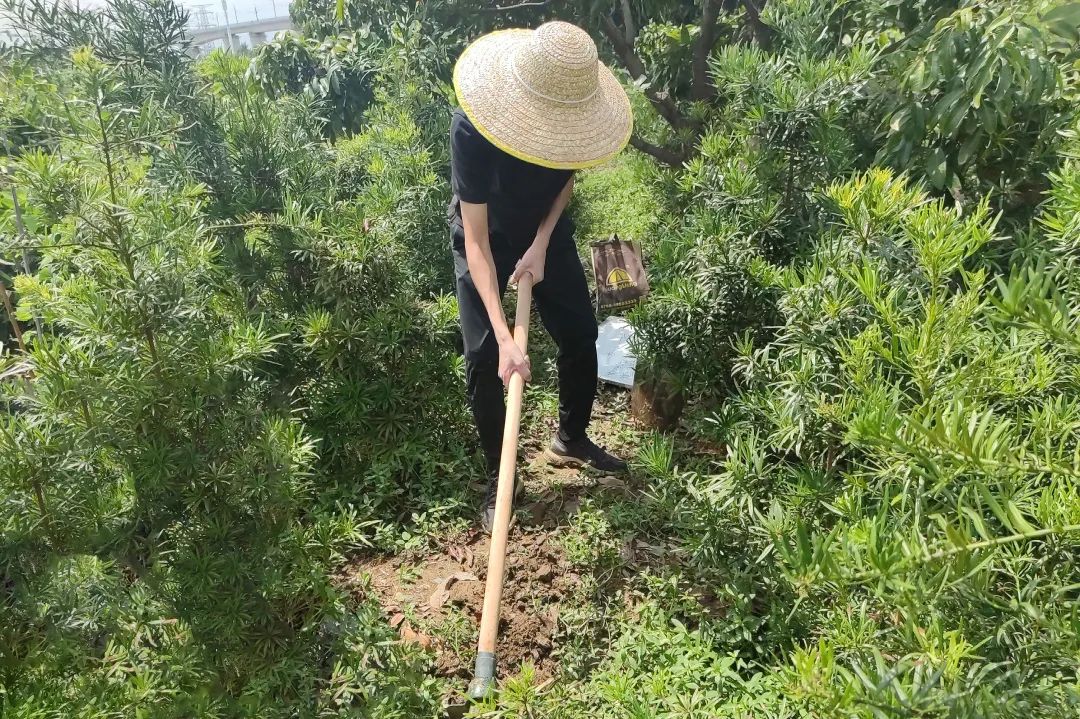 1675393309461876 1675393309461876