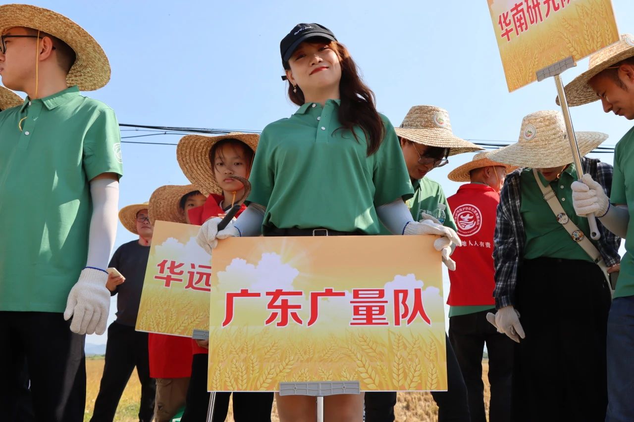 1701156302523601 647.jpg