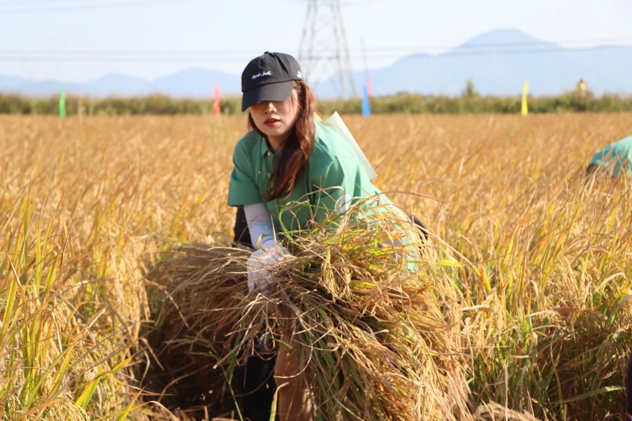 1701156314246341 648.jpg