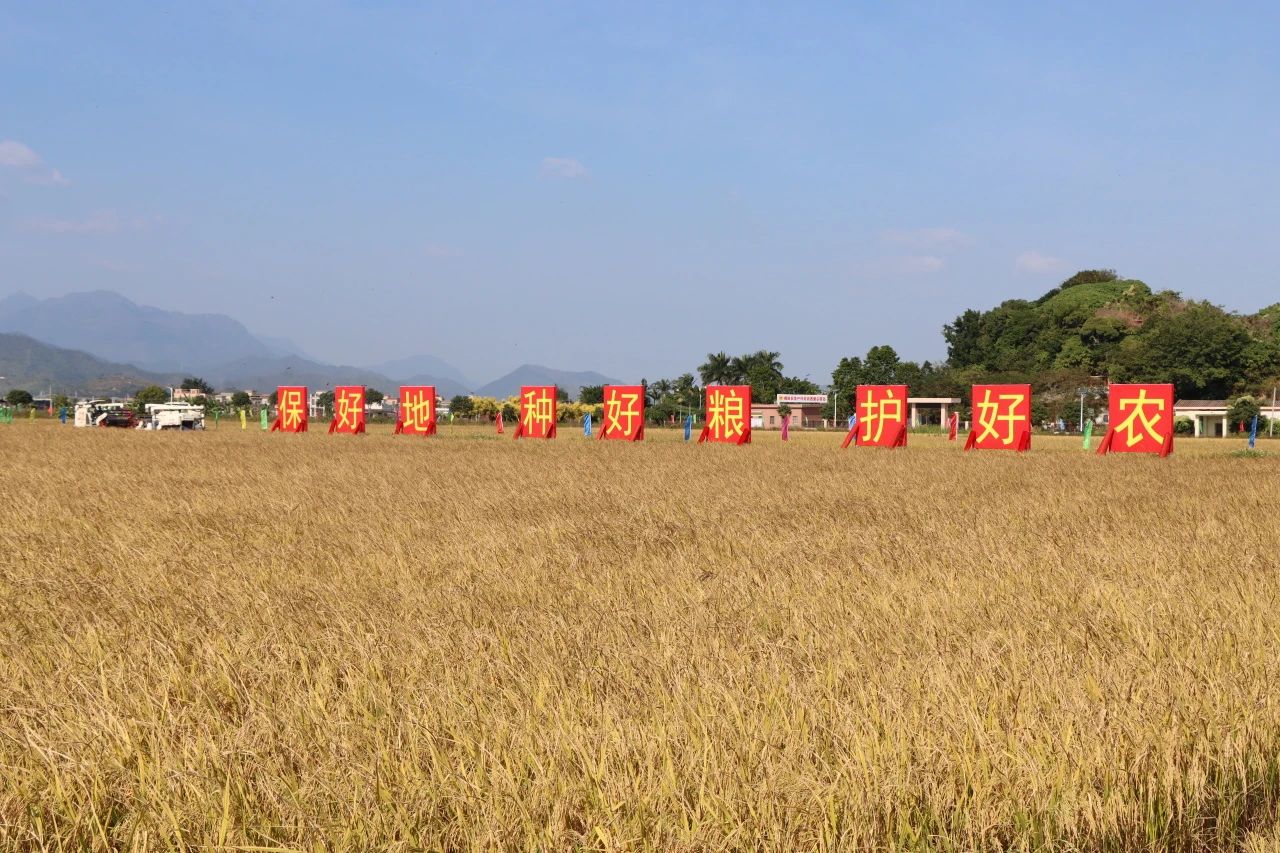 1701328211589363 646.jpg