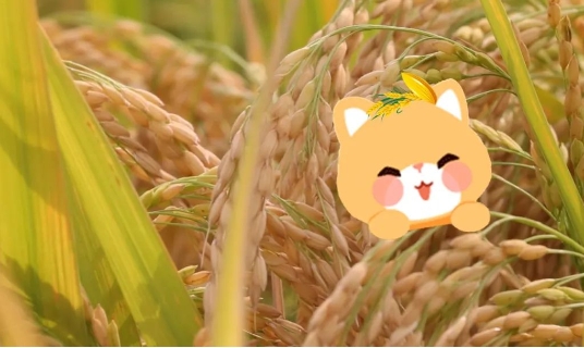 1704358629668211 ΢ÐŽØÍ¼_20240104165640.png