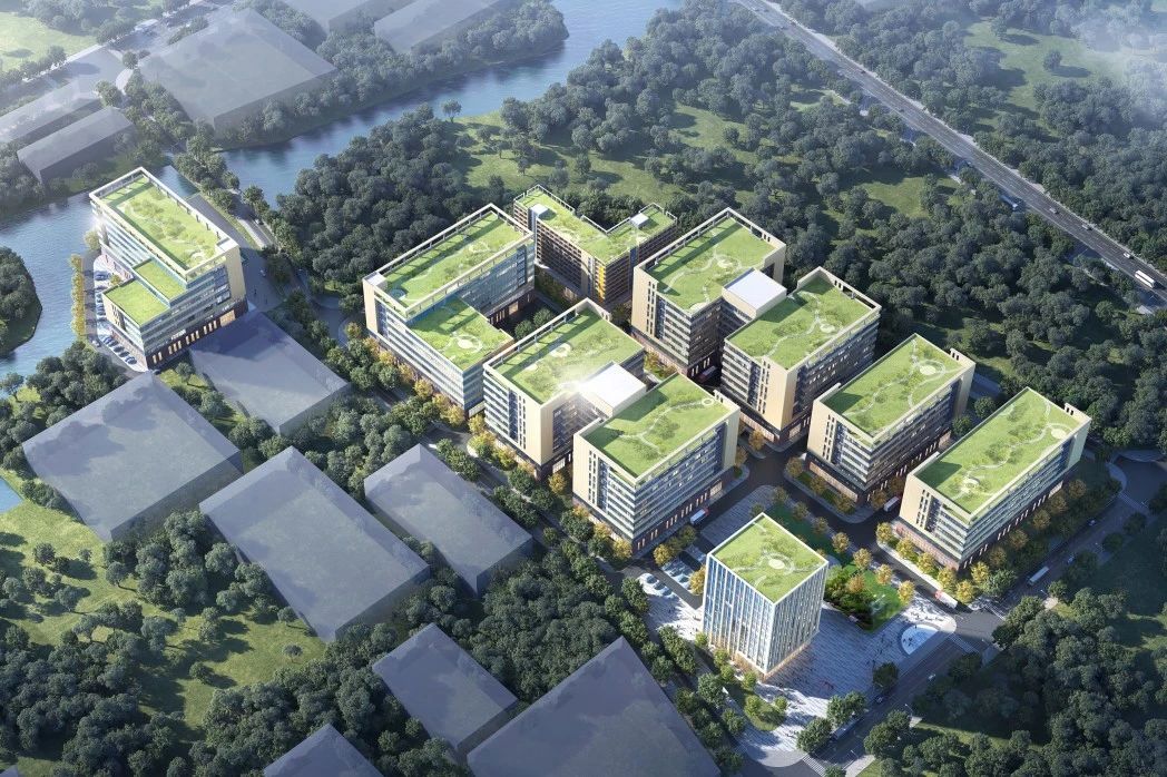 1705283351555296 757.jpg